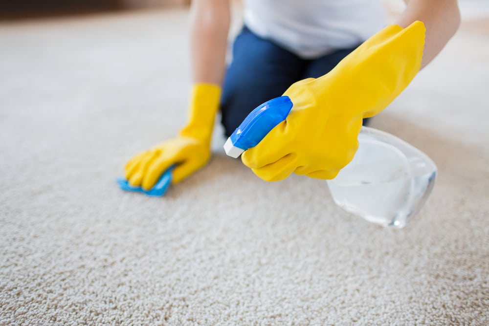 Tips On How To Choose The Best Carpet Cleaning Services